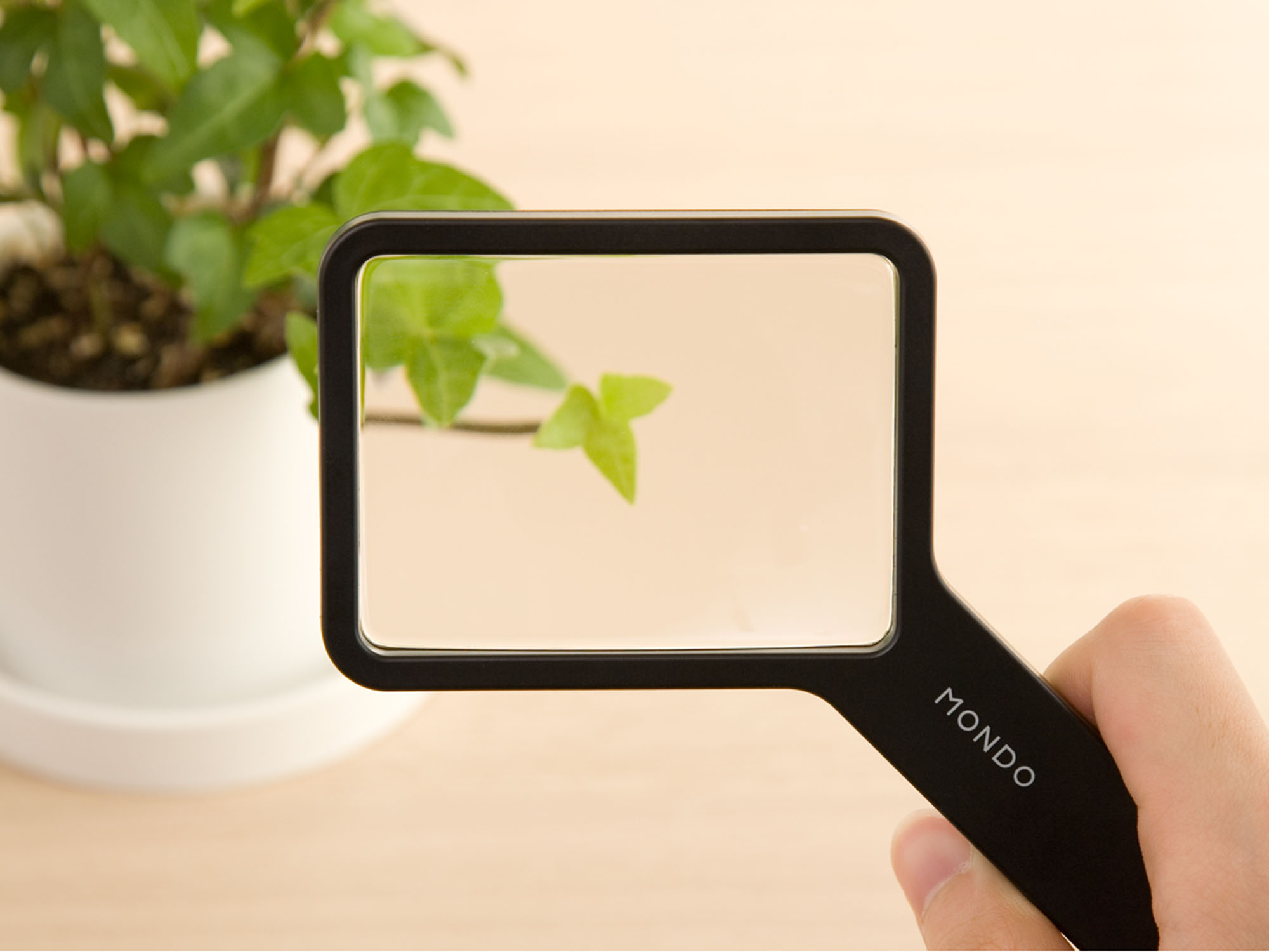 Loupe